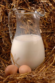 dairy