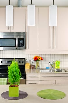 Kitchen interior