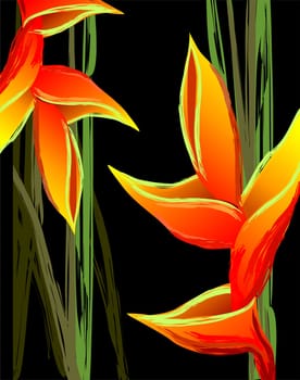Digital painting of colourful flower
