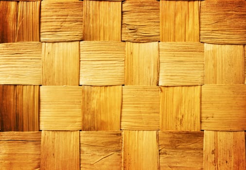 Bamboo Background