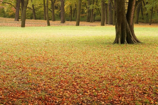 autumn