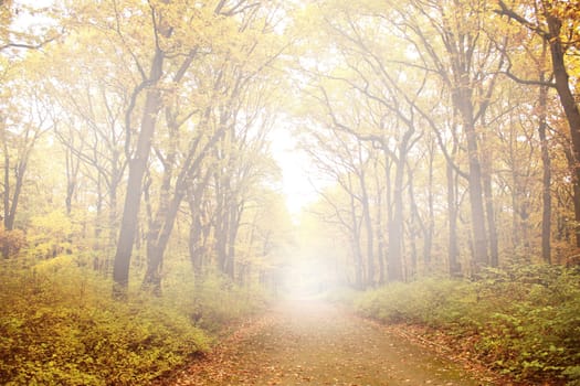 autumn