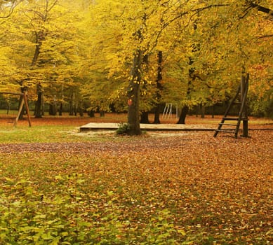 autumn