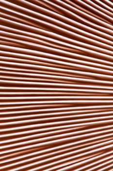 line texture