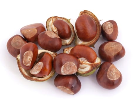 A conker is the seed of a horse chesnut tree.