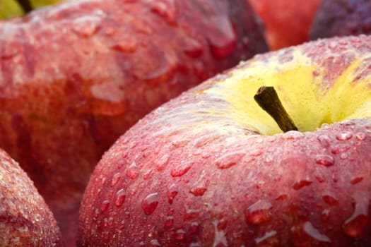 Apples wet............