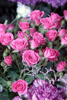 flowers