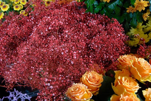 flowers