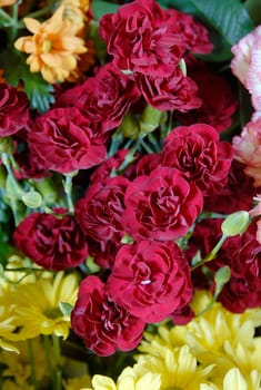 flowers
