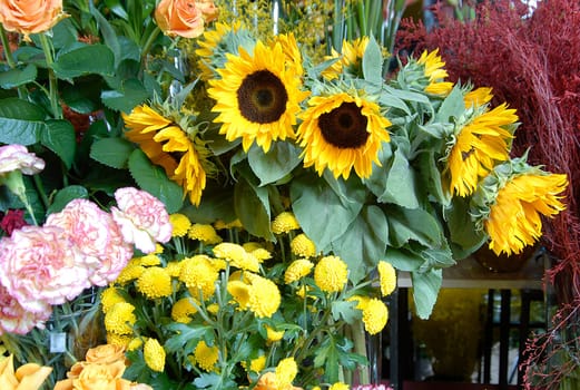 flowers