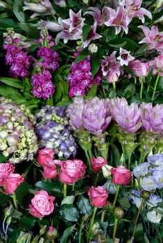 flowers
