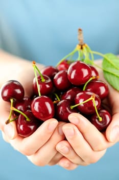Hands holding bunch of cherries