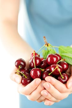 Hands holding bunch of cherries