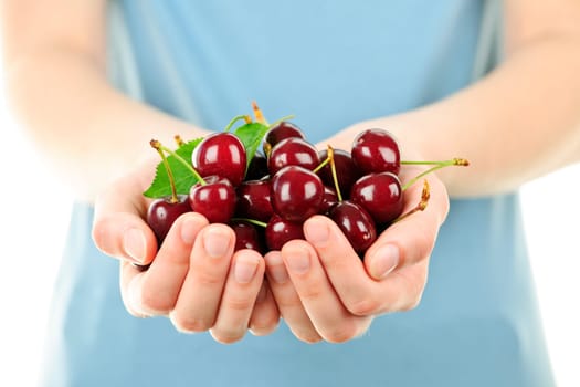 Hands holding bunch of cherries