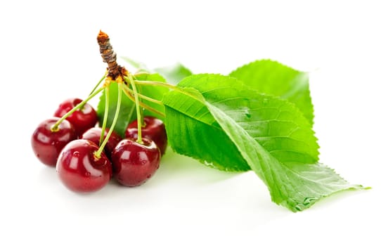 Fresh cherries