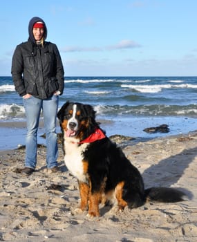 dog at the beach