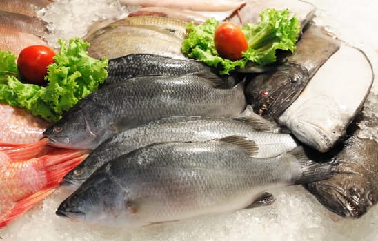 Fresh fish