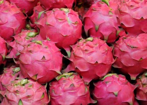 Pitahaya