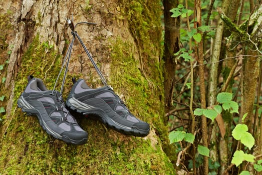 Hiking boots