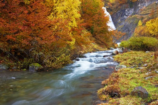 Autumn brook