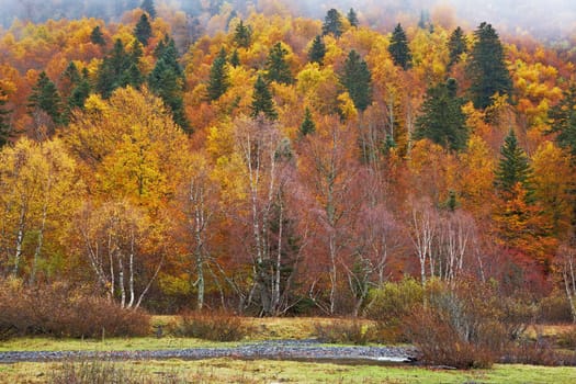 Mountain river in autumn