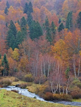 Mountain river in autumn