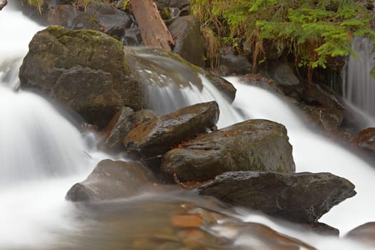 Autumn brook