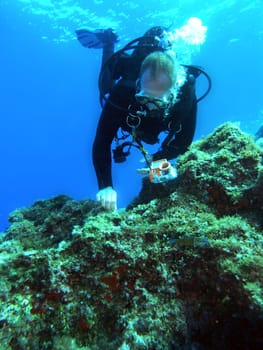 Diver in headstand