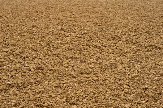 Field