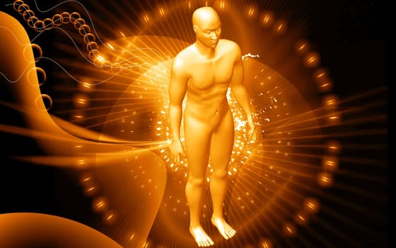 Human body