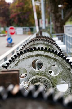 Gear wheels