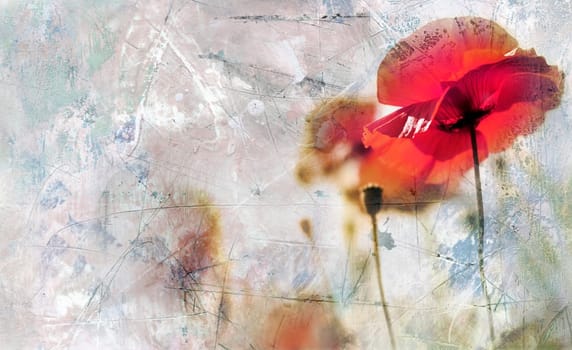 High-Key Poppies on Ambient Background