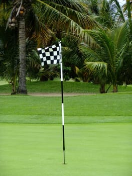 Golf Checkered Flag