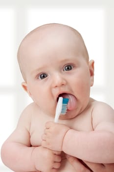 Baby boy playing with a new toothbrush