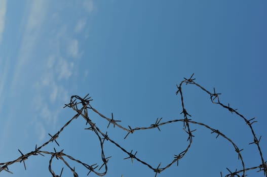 Barbed wire