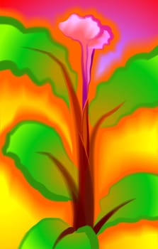 Flower