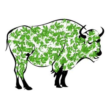 buffalo