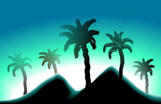 landscape in the moon light
