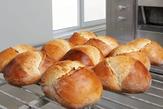 Fresh bread