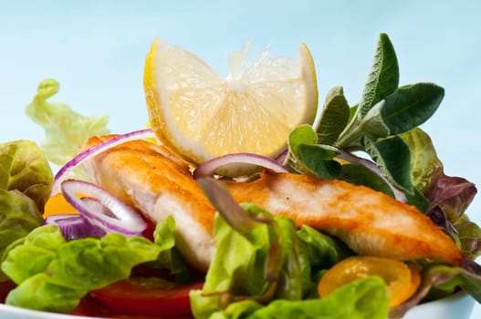 mixed salad with turkey breast