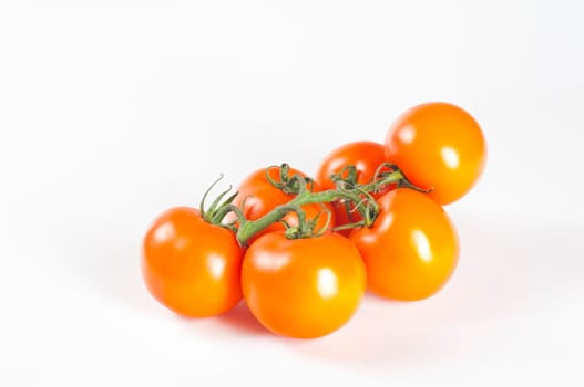 yellow tomatoes on white background