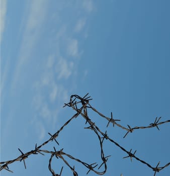 Barbed wire