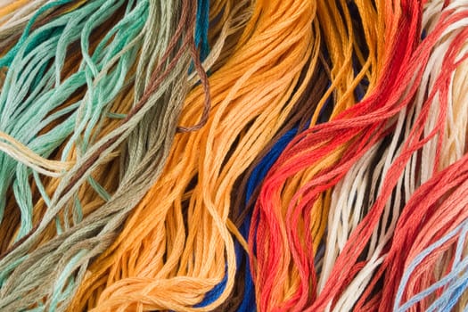 Wool