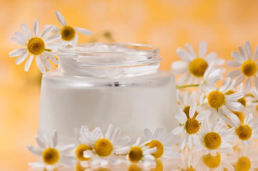 Chamomile cream