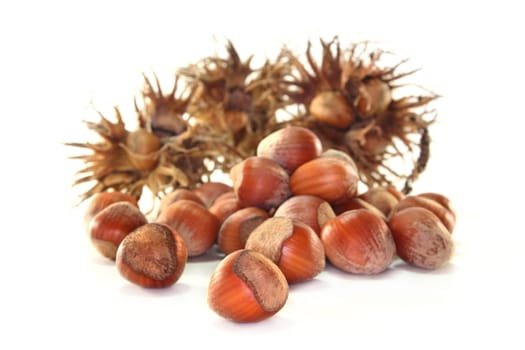 Hazelnut