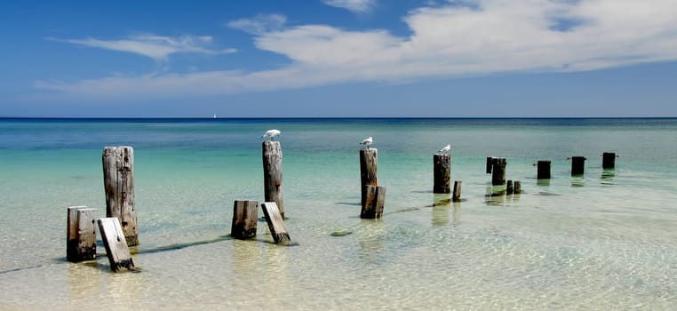 Sea