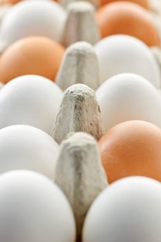 Eggs