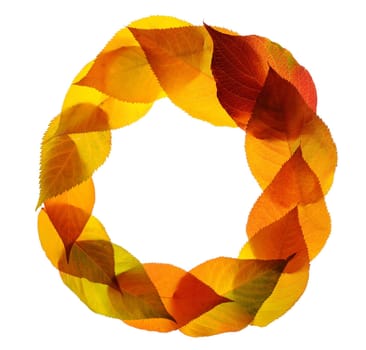 Autumn leaves
