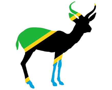 Tanzania Antelope