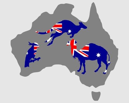 Australian Animals